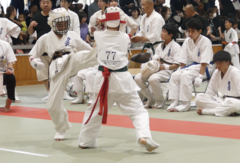IMG_5171_琥鉄